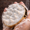 ScalpLuxe — Golden Scalp Massage Brush